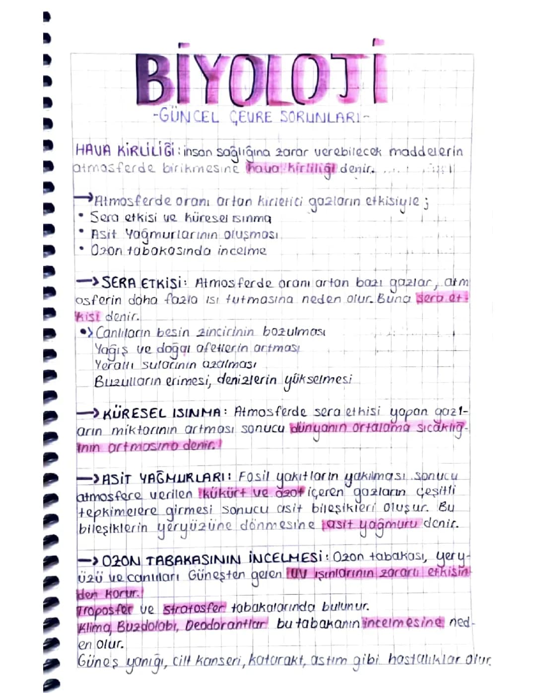Güncel çevre sorunları