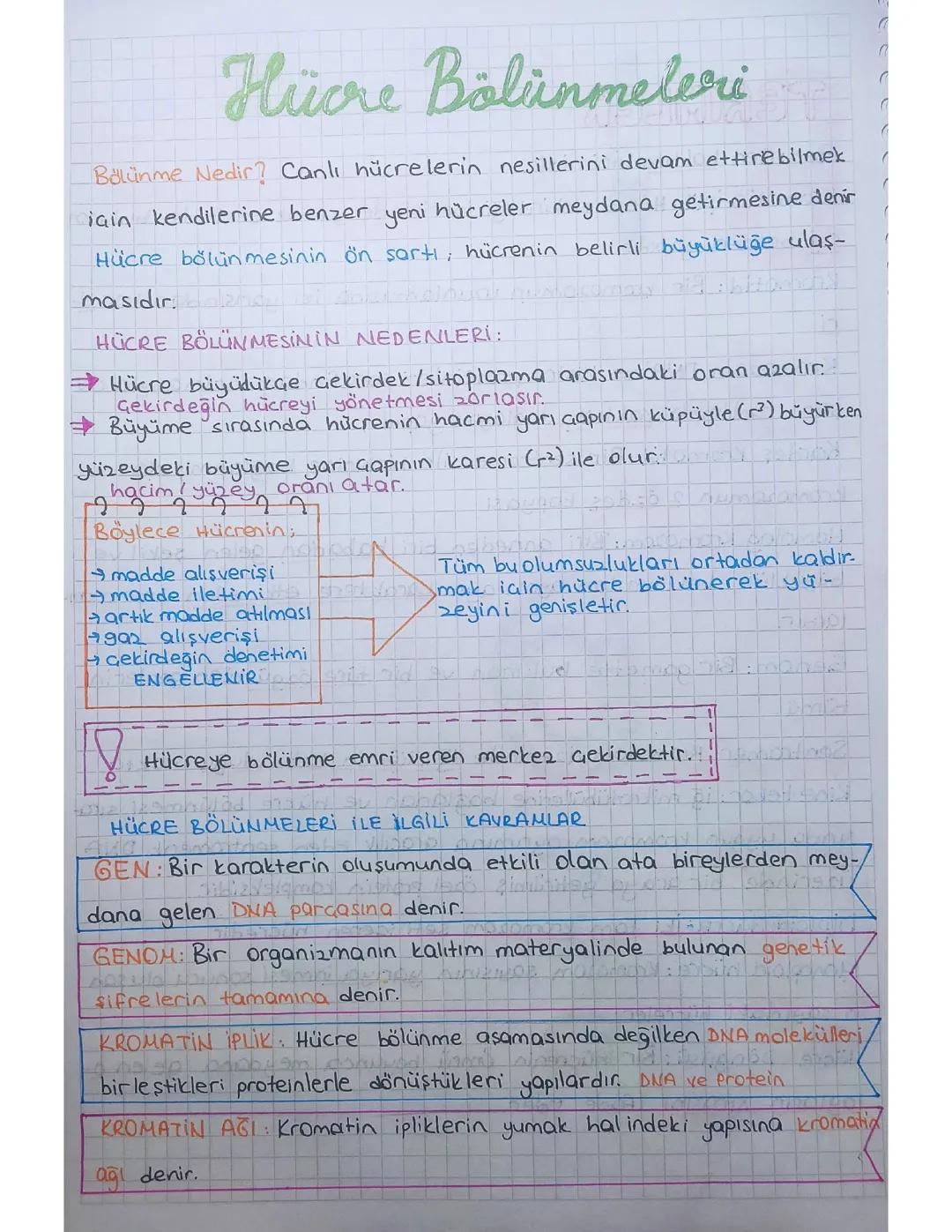 Hücre Bölünmeleri 