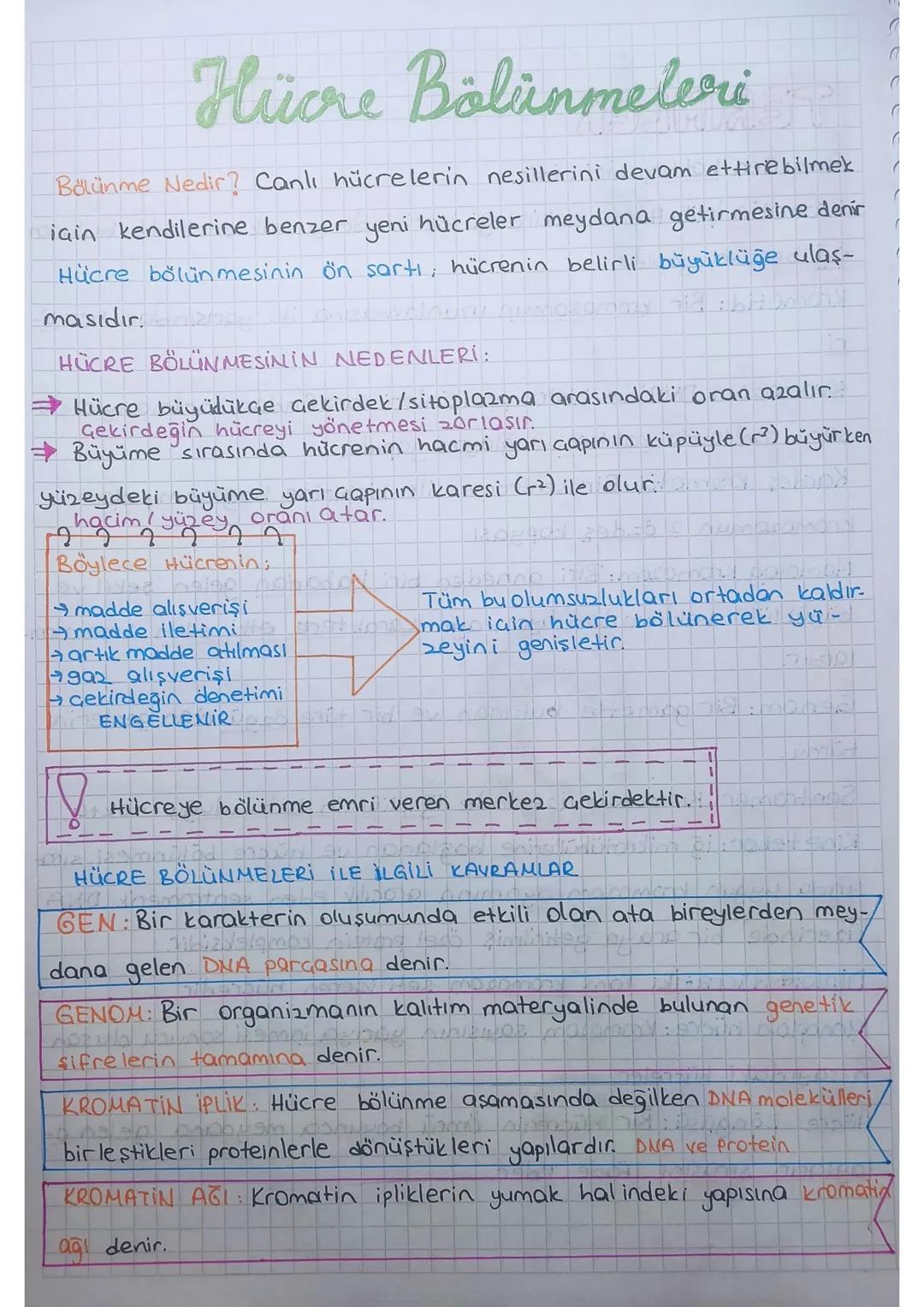 Hücre Bolinmeleri
Bölünme Nedir? Canlı hücrelerin nesillerini devam ettirebilmek
için kendilerine benzer yeni hücreler meydana getirmesine d