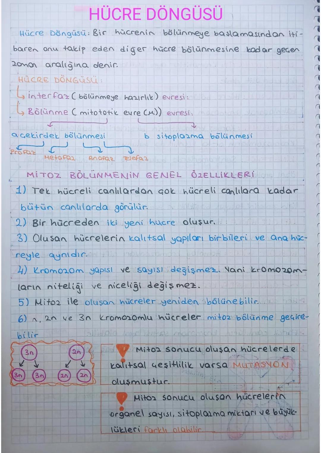 Hücre Bolinmeleri
Bölünme Nedir? Canlı hücrelerin nesillerini devam ettirebilmek
için kendilerine benzer yeni hücreler meydana getirmesine d