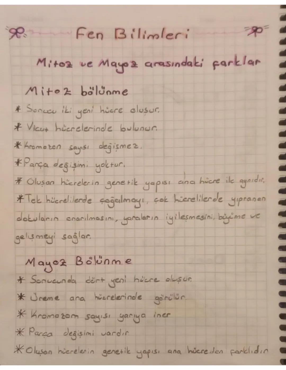 7. Sınıf fen bilimleri mitoz-mayoz karşılaştırma ve evreleri