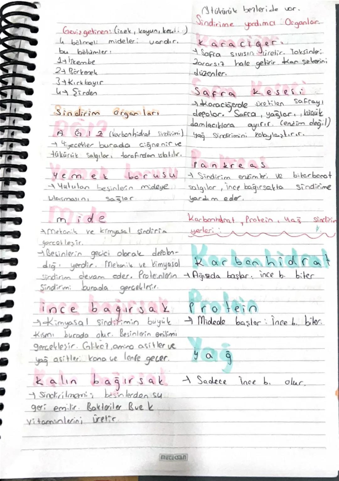 BİYOLOJİ

SIN DIRIM

1- Mekanik Sindirim

*Besinlerin fiziksel olarak küçüllülme.
sidir.

Hücre dışı Sindirim

İnsanda tükürük betleri imide