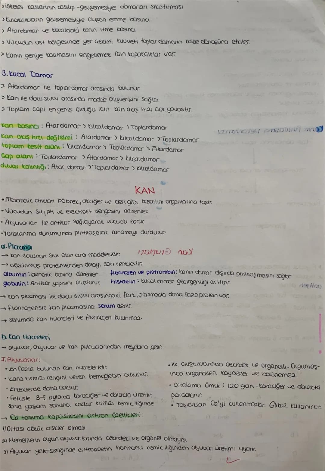 DOLAŞIM SİSTEMİ
*mopt job12.1.
Kalp, damarlar ve kan dokusundan oluşuyor
KALP Jst Ana
Toplardamor
Atciger
toplardam
Aort
Akciójer
Atardamar
