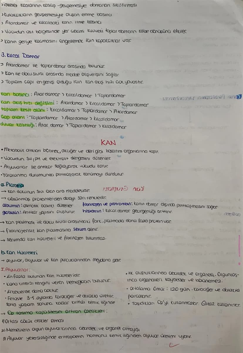 DOLAŞIM SİSTEMİ
*mopt job12.1.
Kalp, damarlar ve kan dokusundan oluşuyor
KALP Jst Ana
Toplardamor
Atciger
toplardam
Aort
Akciójer
Atardamar
