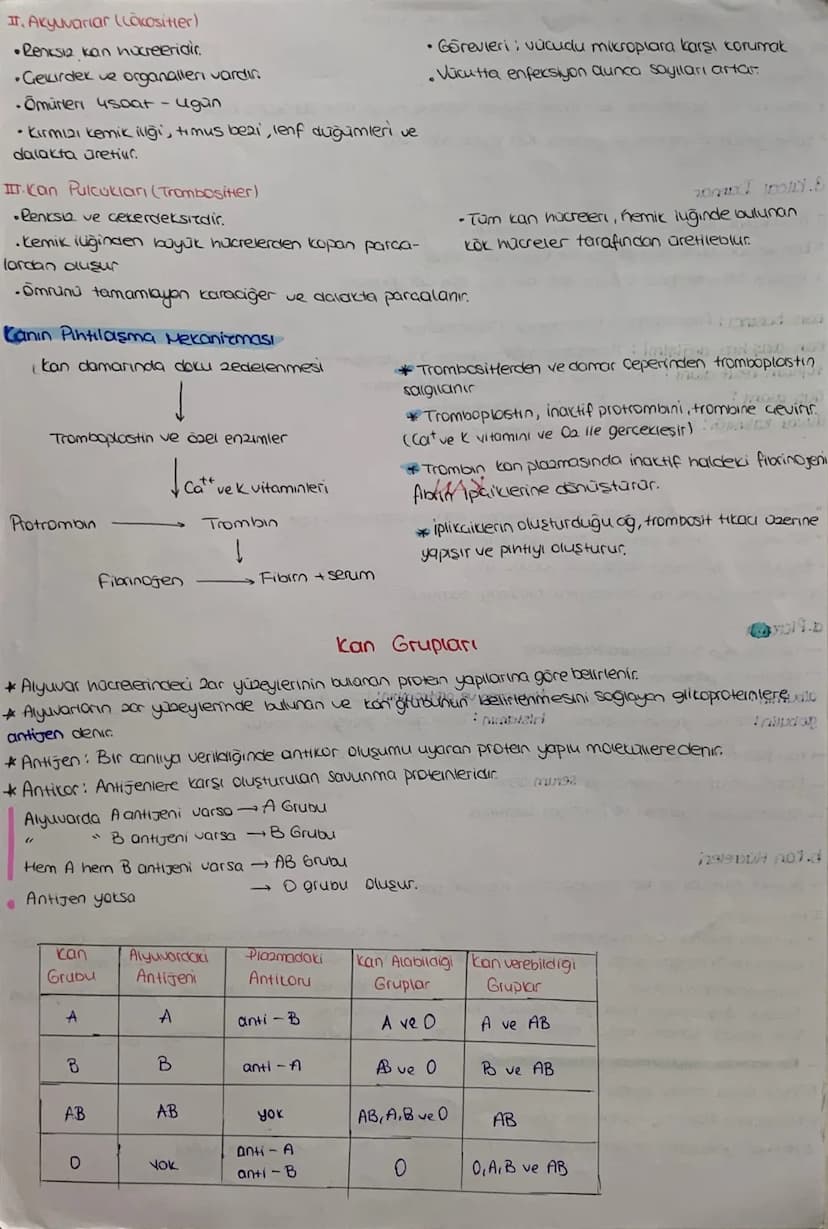 DOLAŞIM SİSTEMİ
*mopt job12.1.
Kalp, damarlar ve kan dokusundan oluşuyor
KALP Jst Ana
Toplardamor
Atciger
toplardam
Aort
Akciójer
Atardamar
