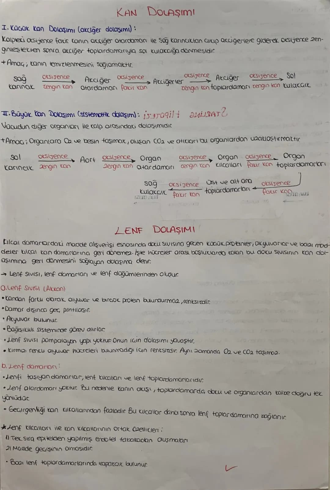 DOLAŞIM SİSTEMİ
*mopt job12.1.
Kalp, damarlar ve kan dokusundan oluşuyor
KALP Jst Ana
Toplardamor
Atciger
toplardam
Aort
Akciójer
Atardamar
