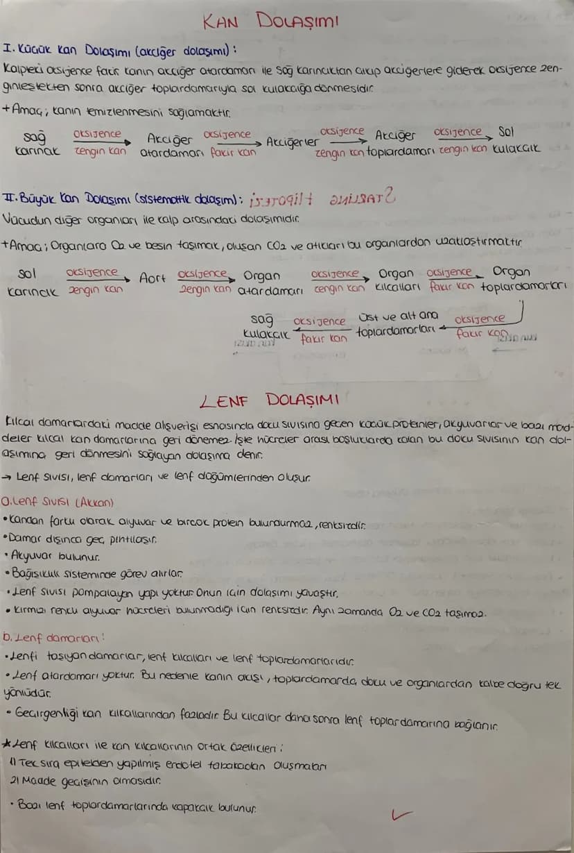 DOLAŞIM SİSTEMİ
*mopt job12.1.
Kalp, damarlar ve kan dokusundan oluşuyor
KALP Jst Ana
Toplardamor
Atciger
toplardam
Aort
Akciójer
Atardamar
