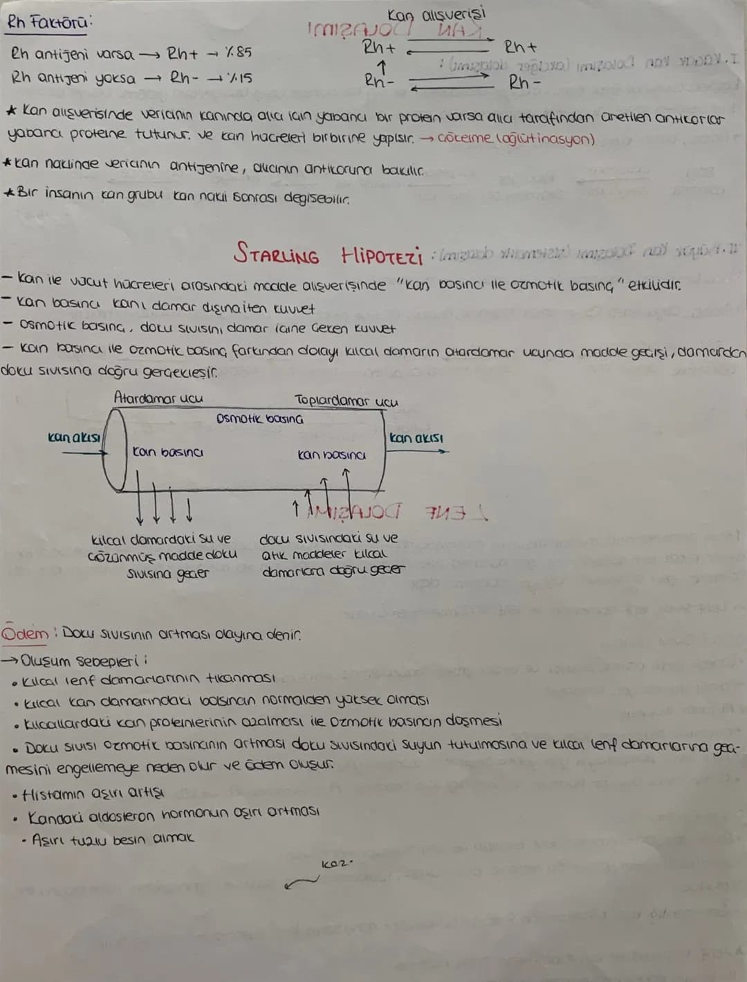 DOLAŞIM SİSTEMİ
*mopt job12.1.
Kalp, damarlar ve kan dokusundan oluşuyor
KALP Jst Ana
Toplardamor
Atciger
toplardam
Aort
Akciójer
Atardamar

