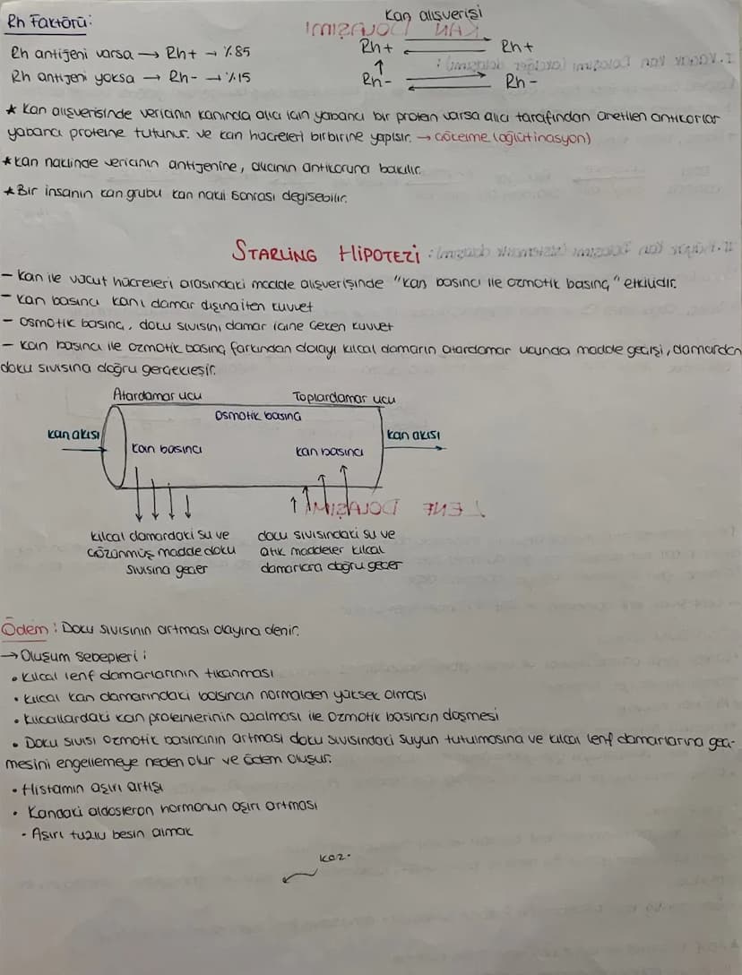 DOLAŞIM SİSTEMİ
*mopt job12.1.
Kalp, damarlar ve kan dokusundan oluşuyor
KALP Jst Ana
Toplardamor
Atciger
toplardam
Aort
Akciójer
Atardamar
