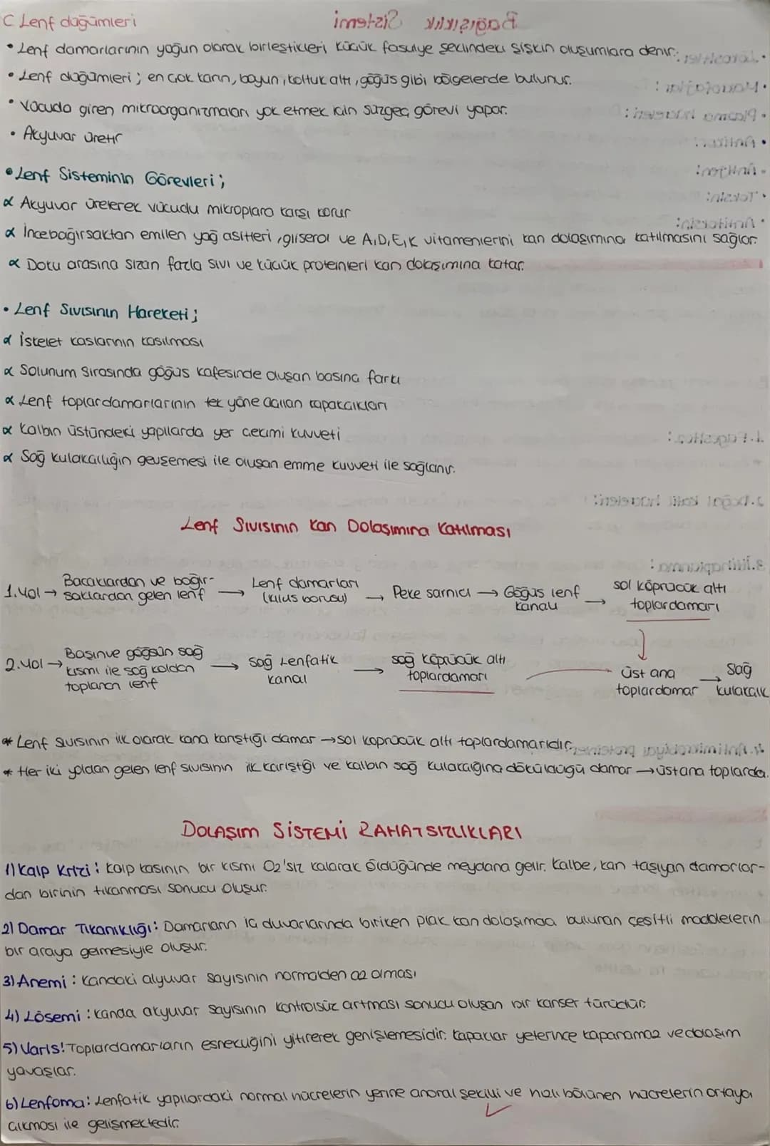 DOLAŞIM SİSTEMİ
*mopt job12.1.
Kalp, damarlar ve kan dokusundan oluşuyor
KALP Jst Ana
Toplardamor
Atciger
toplardam
Aort
Akciójer
Atardamar
