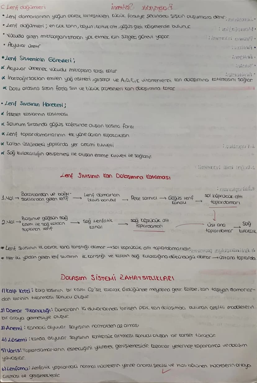 DOLAŞIM SİSTEMİ
*mopt job12.1.
Kalp, damarlar ve kan dokusundan oluşuyor
KALP Jst Ana
Toplardamor
Atciger
toplardam
Aort
Akciójer
Atardamar

