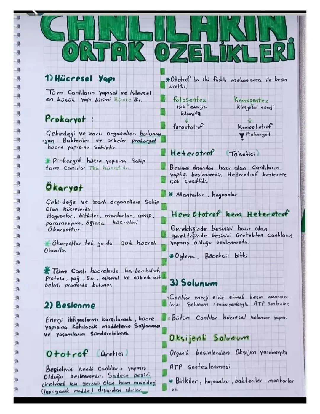 9. Sınıf biyoloji konu anlatımı