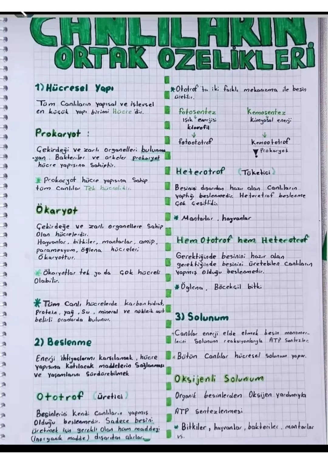 CHALILAKIN
ORTAK OZELİKLERİ
1) Hücresel Yapı
Tom Canlıların yapısal ve işlevsel
en küçük yapı birimi Hücre 'dir.
Prokaryot
Gekirdeği ve zarl
