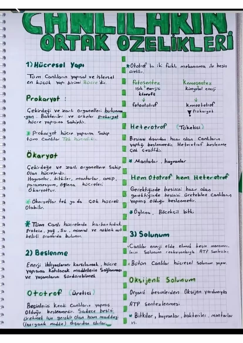 CHALILAKIN
ORTAK OZELİKLERİ
1) Hücresel Yapı
Tom Canlıların yapısal ve işlevsel
en küçük yapı birimi Hücre 'dir.
Prokaryot
Gekirdeği ve zarl
