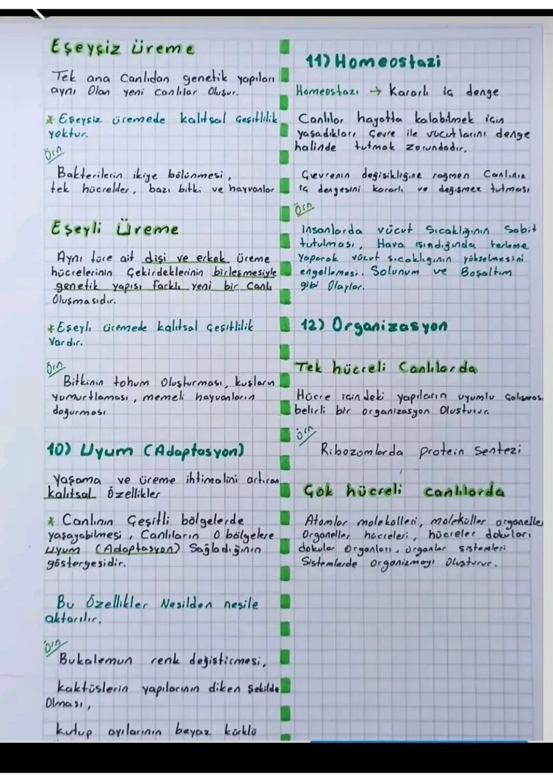 CHALILAKIN
ORTAK OZELİKLERİ
1) Hücresel Yapı
Tom Canlıların yapısal ve işlevsel
en küçük yapı birimi Hücre 'dir.
Prokaryot
Gekirdeği ve zarl