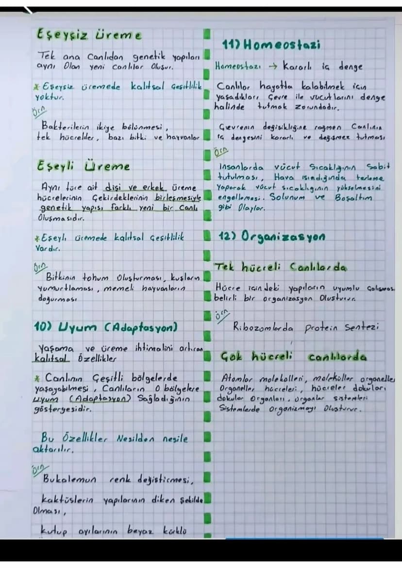 CHALILAKIN
ORTAK OZELİKLERİ
1) Hücresel Yapı
Tom Canlıların yapısal ve işlevsel
en küçük yapı birimi Hücre 'dir.
Prokaryot
Gekirdeği ve zarl