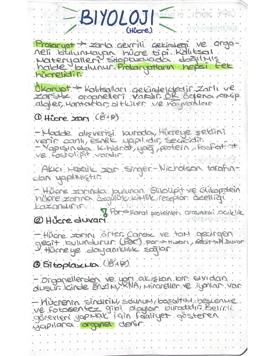 9.Sınıf Biyoloji 1.Ünite Hücre Organelleri