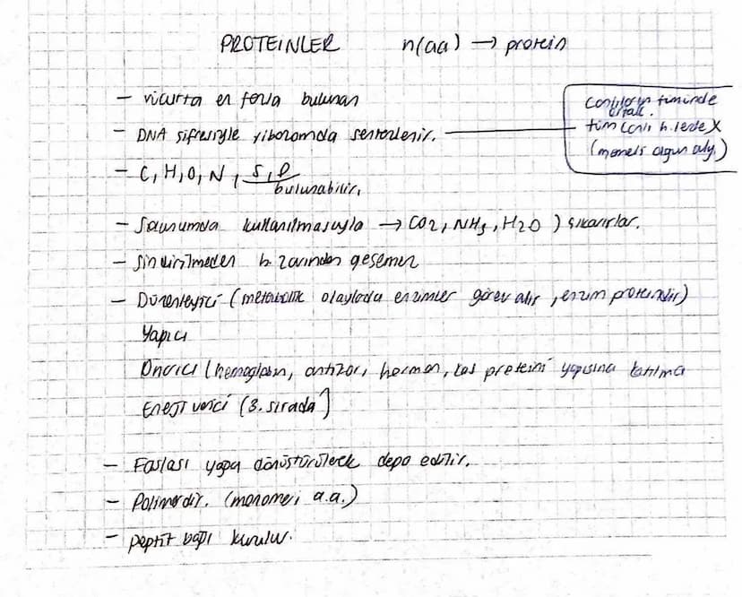PROTEINLER
-
vücutta en feria bulunan
n(aa) → protein
DNA sifresiyle yiboromda senterlerit.
- C, H, O, N, SI bulunabilir.
-
T
Conttorin timi