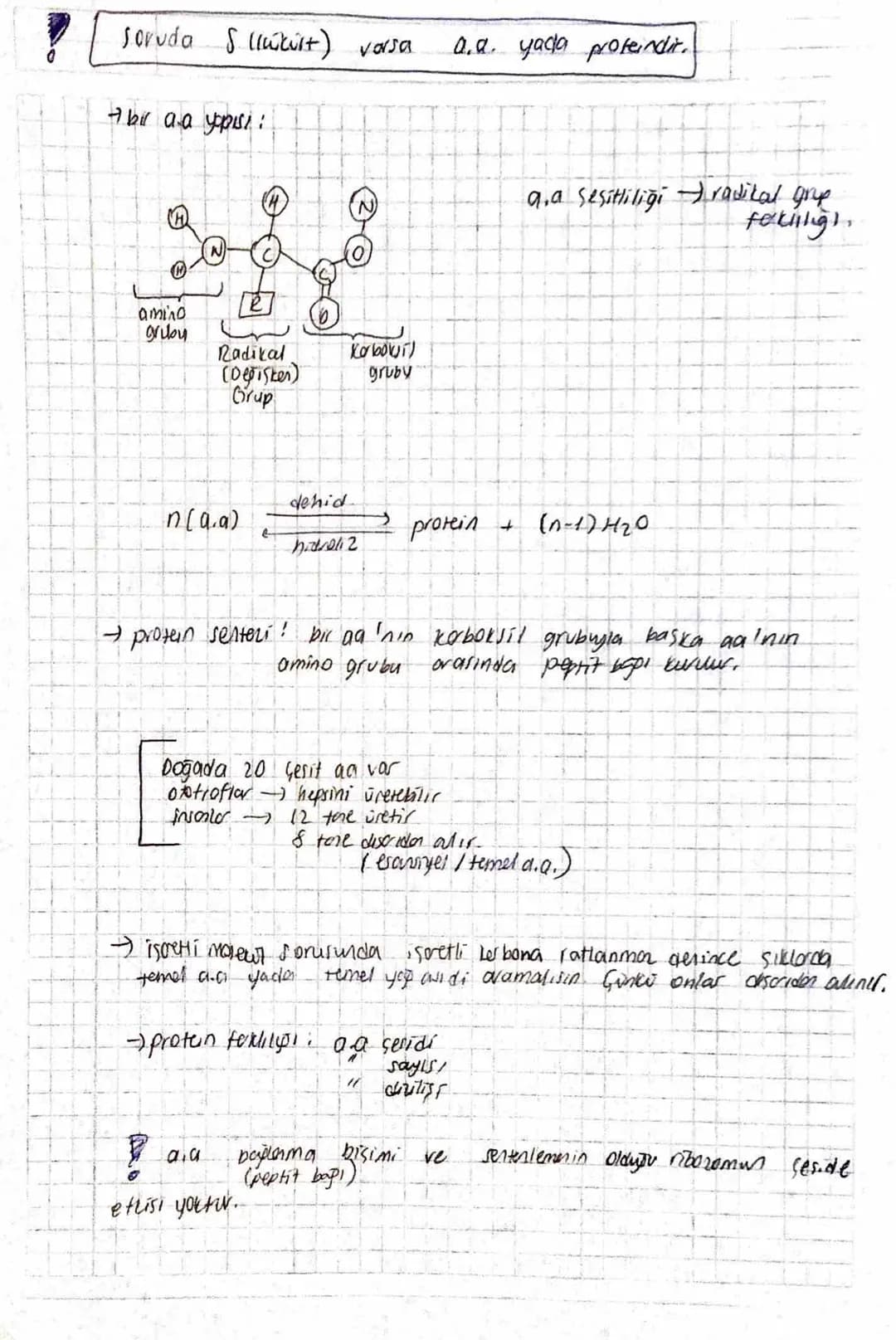 PROTEINLER
-
vücutta en feria bulunan
n(aa) → protein
DNA sifresiyle yiboromda senterlerit.
- C, H, O, N, SI bulunabilir.
-
T
Conttorin timi