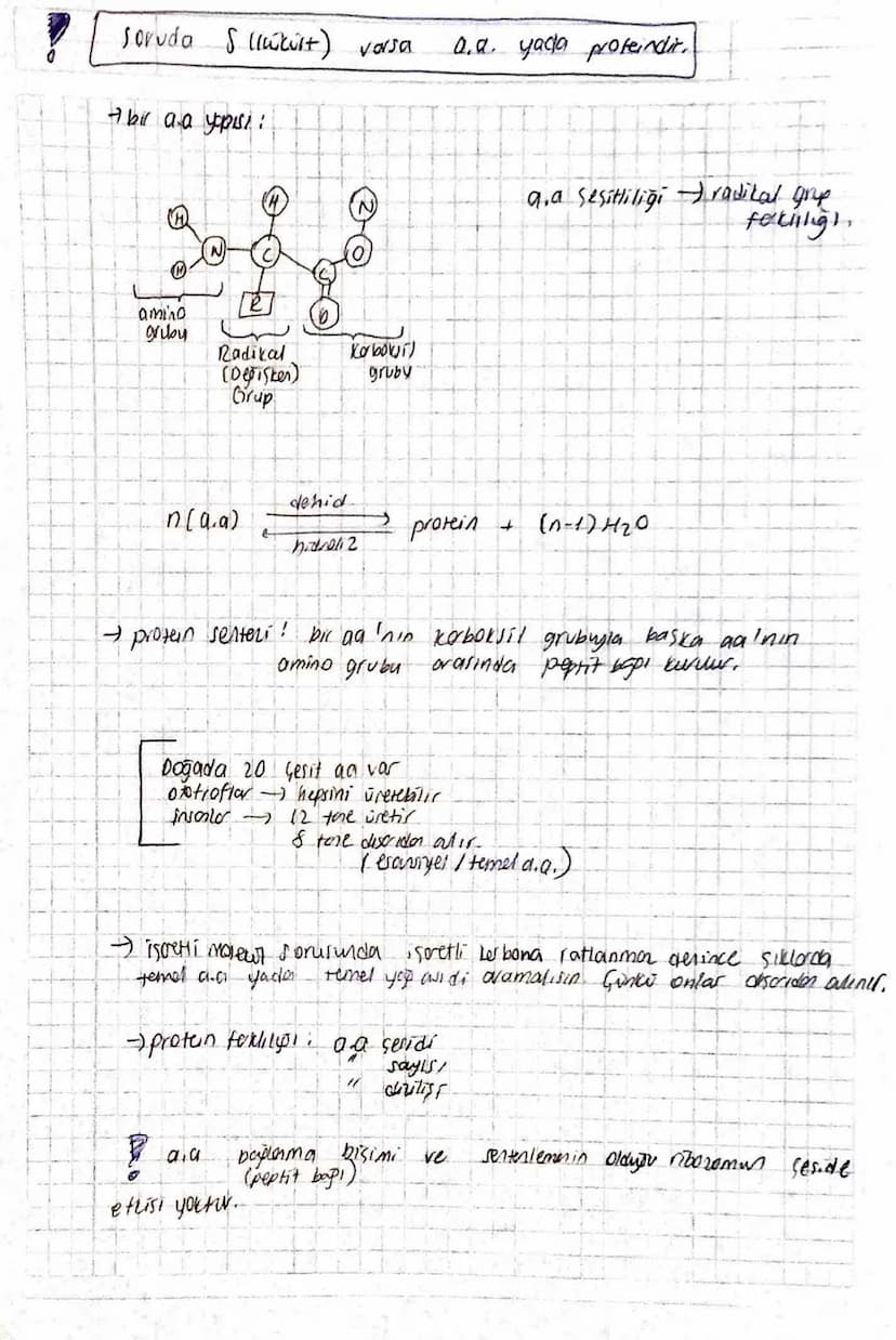 PROTEINLER
-
vücutta en feria bulunan
n(aa) → protein
DNA sifresiyle yiboromda senterlerit.
- C, H, O, N, SI bulunabilir.
-
T
Conttorin timi