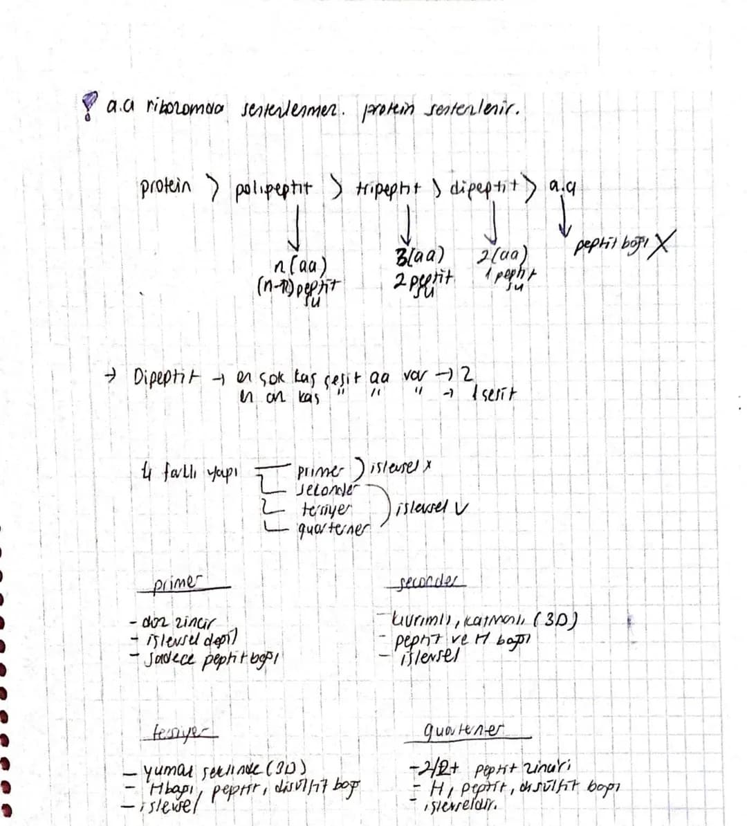 PROTEINLER
-
vücutta en feria bulunan
n(aa) → protein
DNA sifresiyle yiboromda senterlerit.
- C, H, O, N, SI bulunabilir.
-
T
Conttorin timi