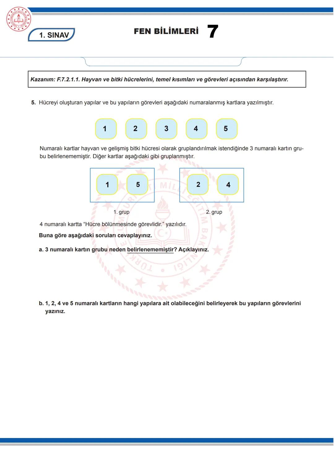 # FEN BİLİMLERİ 7

7. SINIF FEN BİLİMLERİ DERSİ

1. DÖNEM 1. ORTAK YAZILI SENARYOLARINA YÖNELİK SORU ÖRNEKLERİ

Senaryolar, okul genelinde y