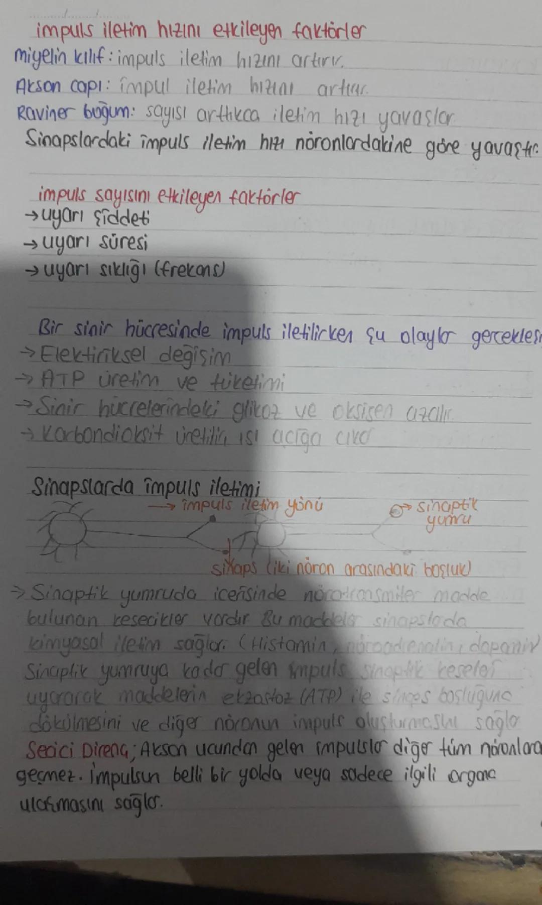 kauramlar
Reseptör: uyarıları algılayon aliator
uyarı: ses, koku vs. faktörler.
impuls (uyartı) vucutta gerceklenen değimlikler
Efektör: tep