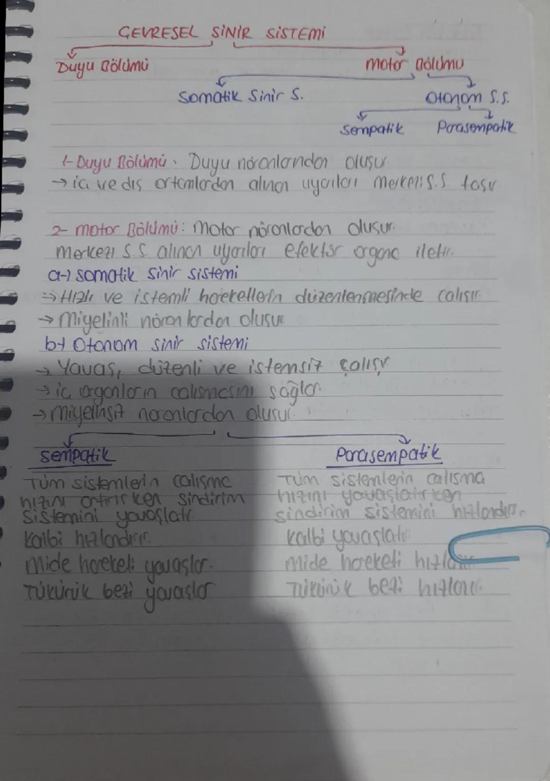 kauramlar
Reseptör: uyarıları algılayon aliator
uyarı: ses, koku vs. faktörler.
impuls (uyartı) vucutta gerceklenen değimlikler
Efektör: tep