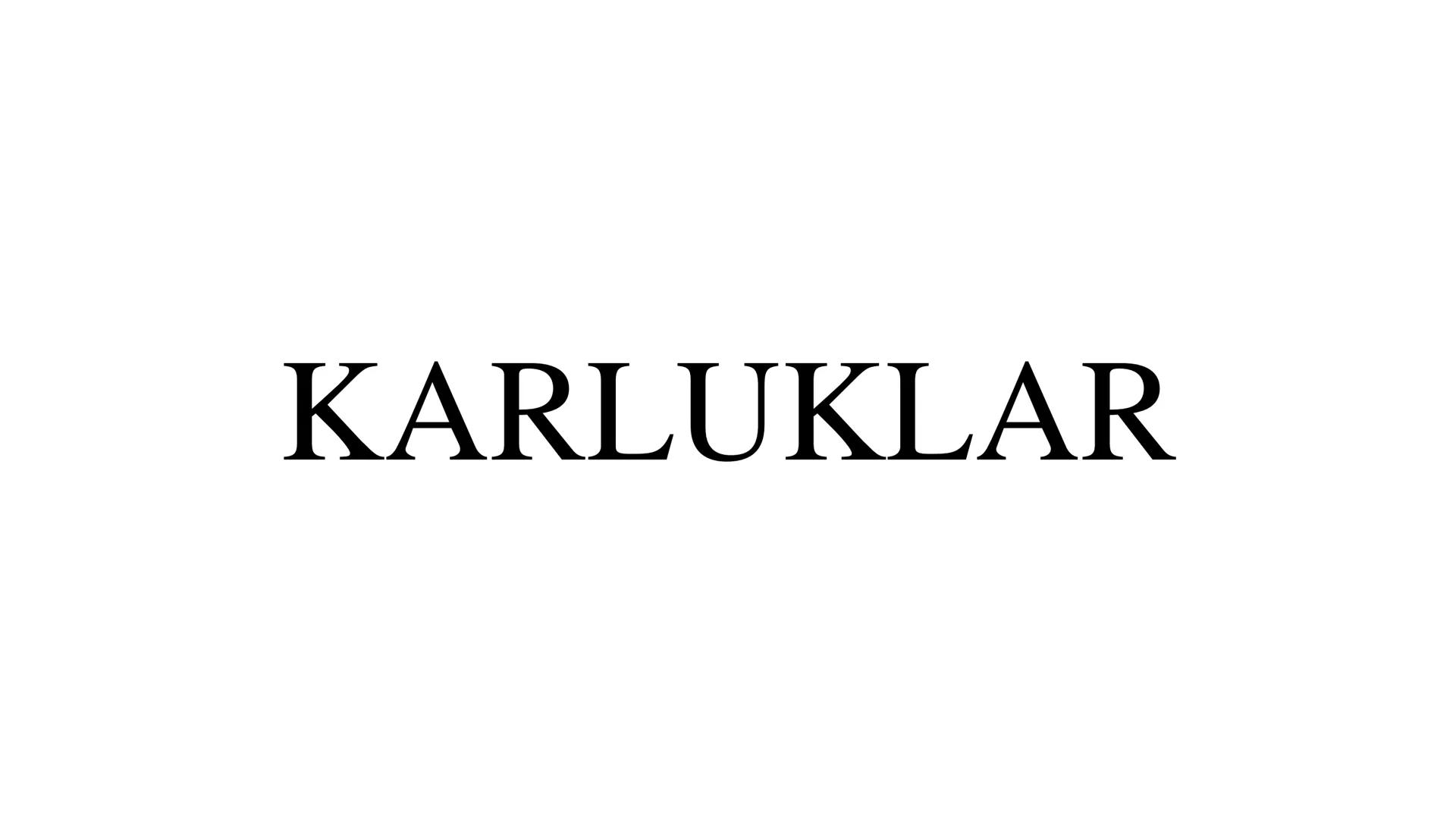 DİĞER TÜRK DEVLET
ve
TOPLULUKLARI TARİH
BOYU
KURULAN
16
TÜRK
DEVLETİ
IYI
BUYUK HUN
IMPARATORLUĞU
TEOMAN
MO 4ASIR-MS 48
A
BATI HUN
IMPARATORL