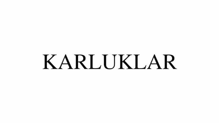 DİĞER TÜRK DEVLET
ve
TOPLULUKLARI TARİH
BOYU
KURULAN
16
TÜRK
DEVLETİ
IYI
BUYUK HUN
IMPARATORLUĞU
TEOMAN
MO 4ASIR-MS 48
A
BATI HUN
IMPARATORL