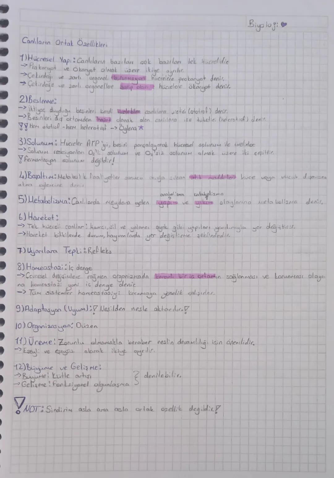 # Canlıların Ortak Özellikleri

1) **Hücresel Yapı**: Canlılar bazılar çok bazılar tek hücrelidir.
-> Prokaryot ve Okaryot olmak üzere ikiye