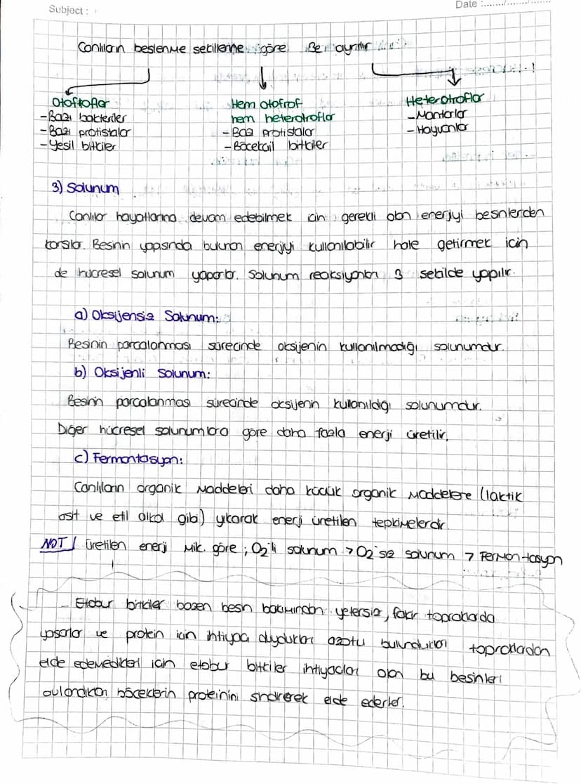 Subject:
Canlilanın ortak Özellikleri
-Hucresel yapı: tum conlilar hucre Je hucrelerden oluşur.
Hücre sayısına
gore
Tek hücreliler
-Baktenle