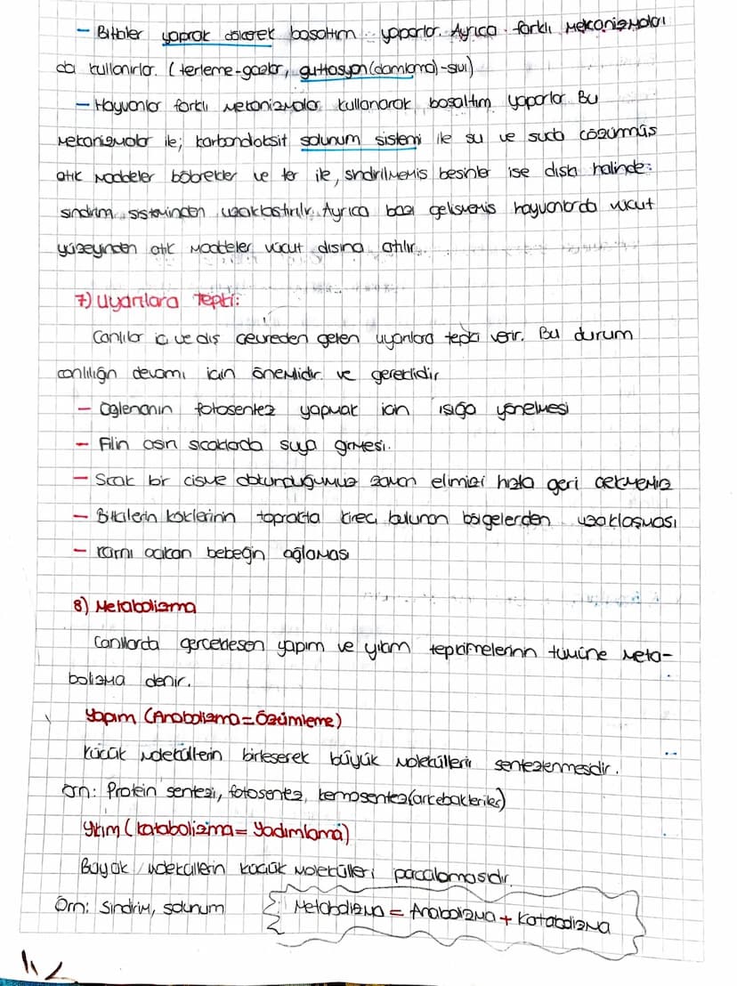 Subject:
Canlilanın ortak Özellikleri
-Hucresel yapı: tum conlilar hucre Je hucrelerden oluşur.
Hücre sayısına
gore
Tek hücreliler
-Baktenle