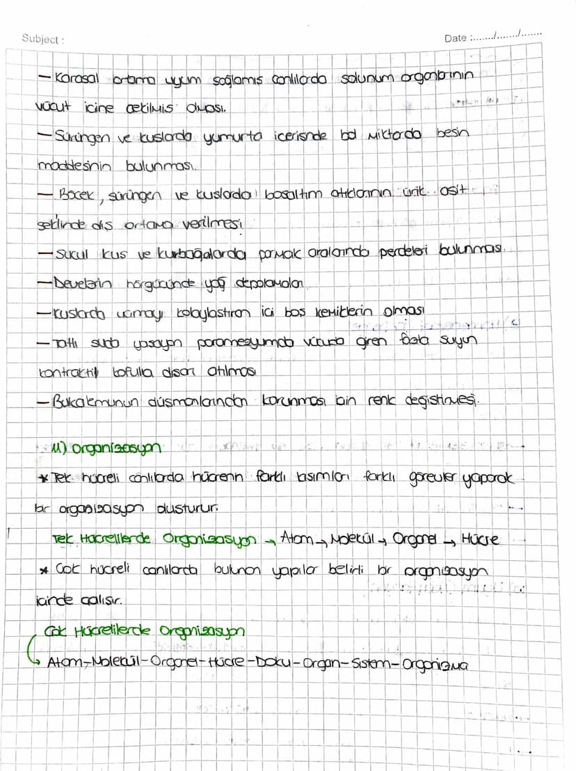 Subject:
Canlilanın ortak Özellikleri
-Hucresel yapı: tum conlilar hucre Je hucrelerden oluşur.
Hücre sayısına
gore
Tek hücreliler
-Baktenle