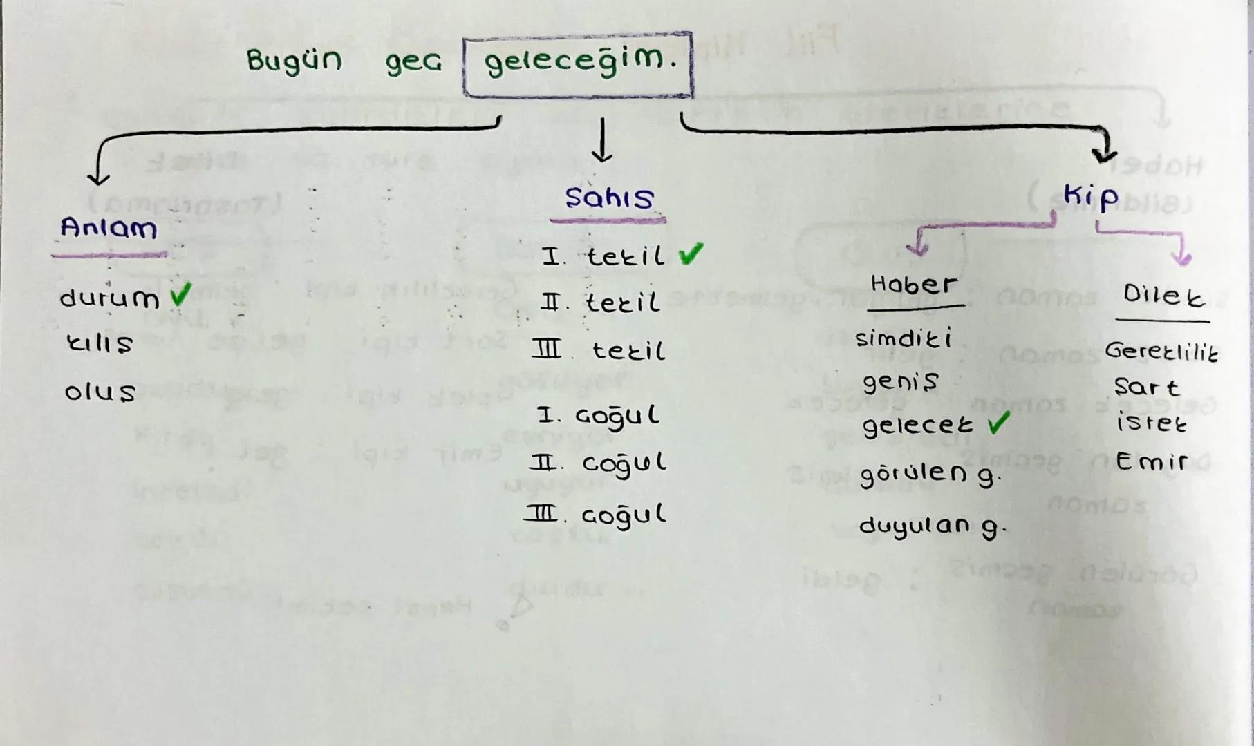 Fiilde Anlam Özellikleri
Eylemler, bildirdikleri isin, hareketin
göre üa türe ayrılır :
TAGS
Özelliklerine
KILIS
DURUM
OLUS
ONU V
ONU X
uzad