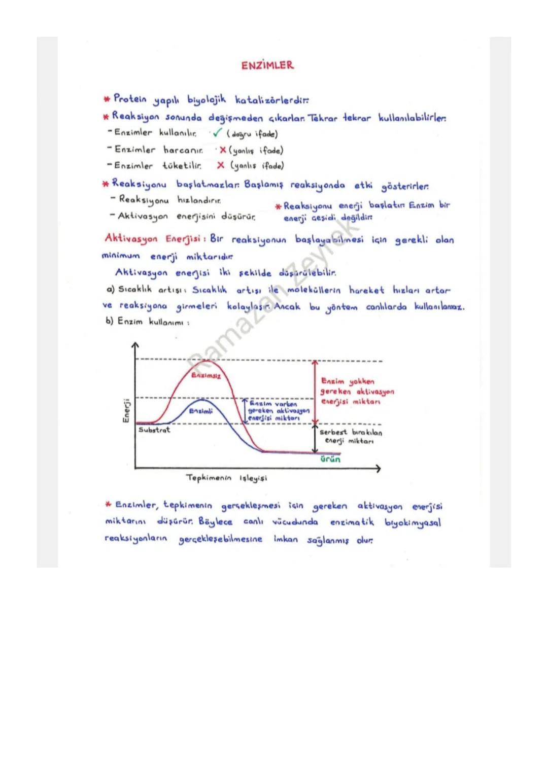 ENZİMLER
Protein yapılı biyolojik katalizörlerdir.
*Reaksiyon sonunda değişmeden çıkarlar. Tekrar tekrar kullanılabilirler.
-Enzimler kullan