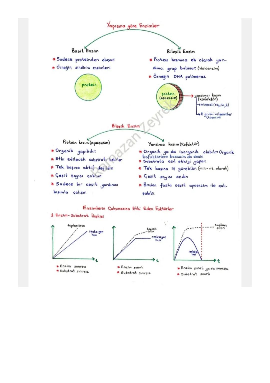 ENZİMLER
Protein yapılı biyolojik katalizörlerdir.
*Reaksiyon sonunda değişmeden çıkarlar. Tekrar tekrar kullanılabilirler.
-Enzimler kullan