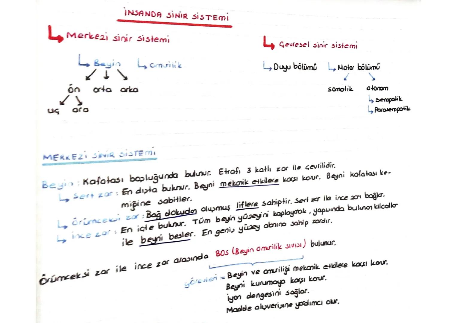 FOTOSENTEZ
ATP nin yapu (Adenozin tri fosfat)
Glikozi+
Ester
Adenin azotlu organik 50'lu
bozi
yüksek enerjili
fosfat bağları
Bir tane yüksek