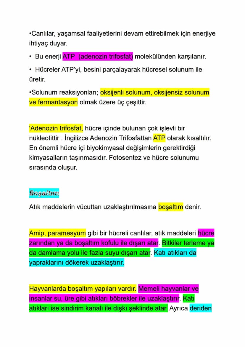 Biyoloji ve Canlıların Ortak Özellikleri
Biyoloji Nedir ?
Biyoloji, yaşam ve canlı organizmaların incelenmesi hakkında
çalışmaların gerçekle