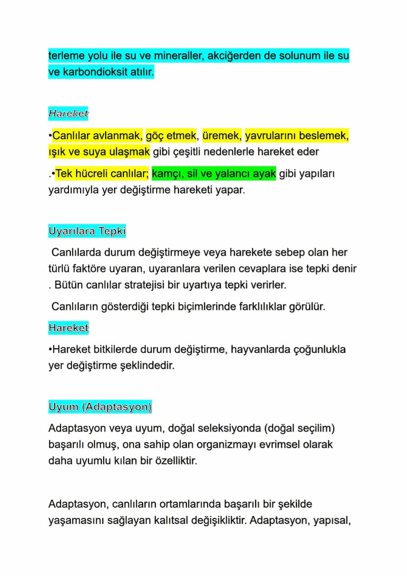 Biyoloji ve Canlıların Ortak Özellikleri
Biyoloji Nedir ?
Biyoloji, yaşam ve canlı organizmaların incelenmesi hakkında
çalışmaların gerçekle
