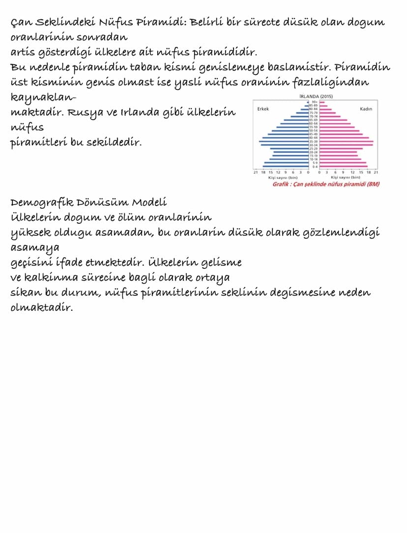NÜFUS PİRAMİTLERİ
Nüfusun sosyoekonomik durumunu belirleye-
bilmek ve gelecegi ile ilgili planlar yapabilmek
için yas ve yasin cinsiyetlere 