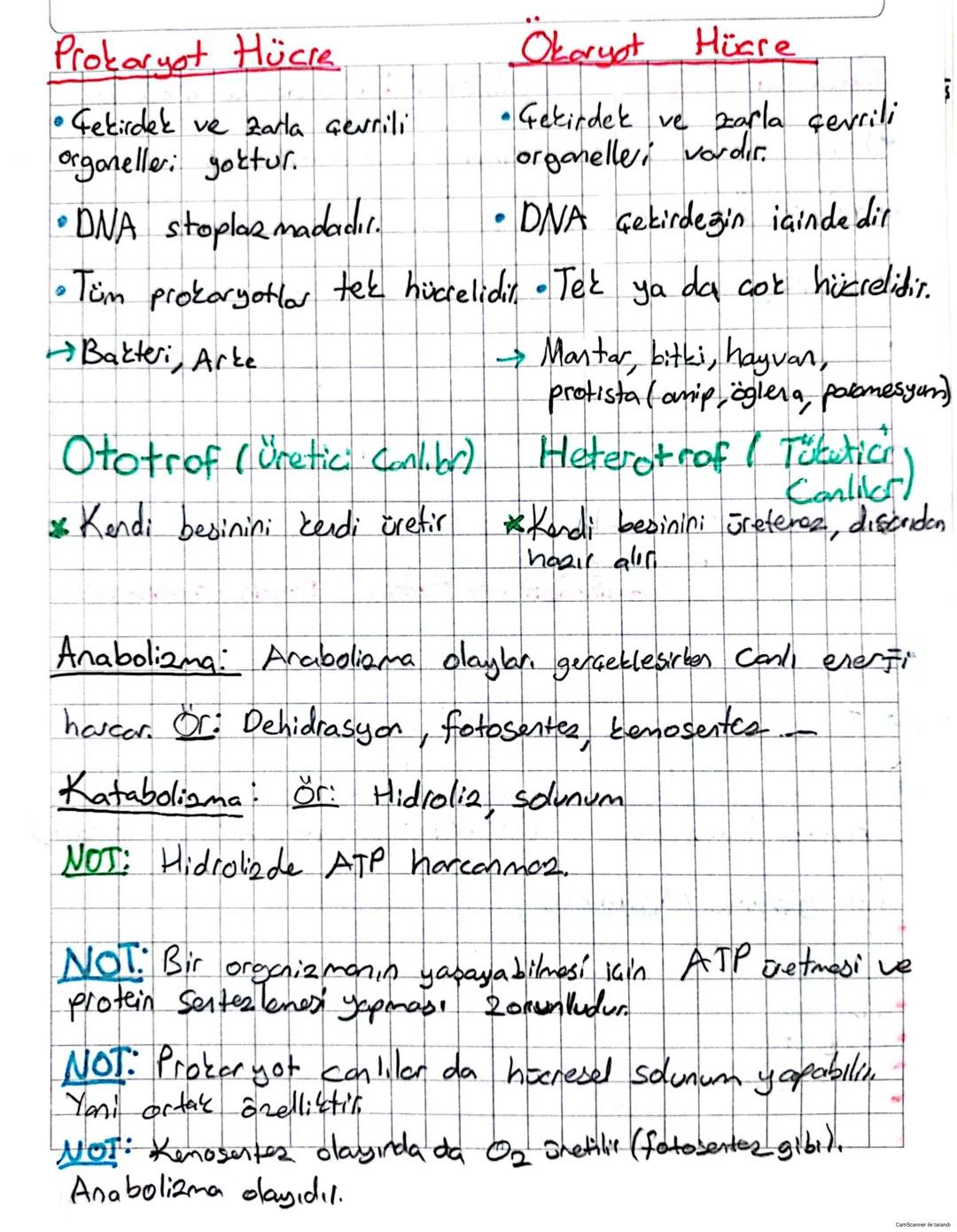 Prokaryot Hücre
Okaryot Hücre
•Gekirdek ve zarla çevrili
organeller: yoktur.
• Gekirdek ve zarla çevrili
organellei vardır.
•DNA stoplazmada