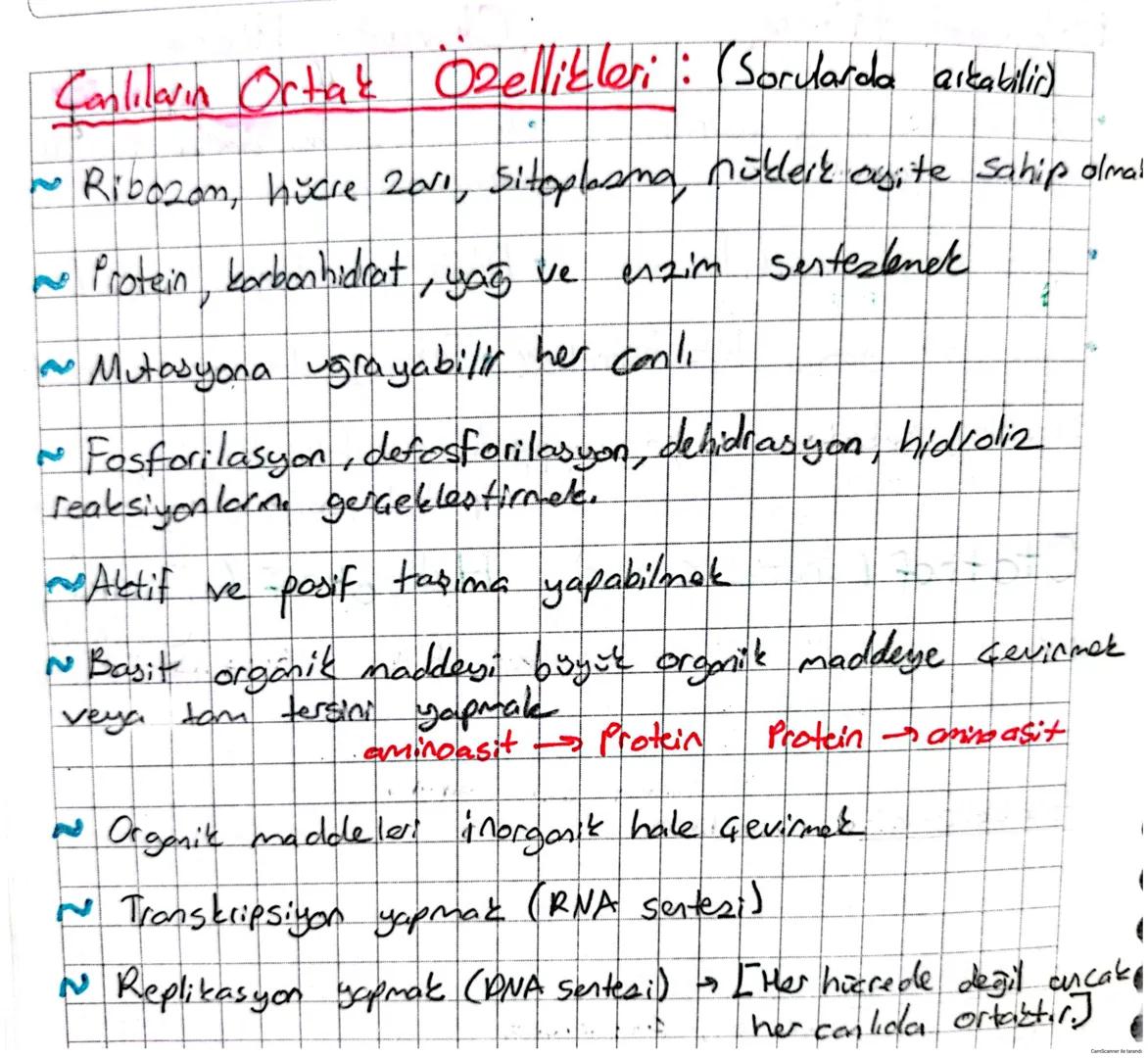 Prokaryot Hücre
Okaryot Hücre
•Gekirdek ve zarla çevrili
organeller: yoktur.
• Gekirdek ve zarla çevrili
organellei vardır.
•DNA stoplazmada