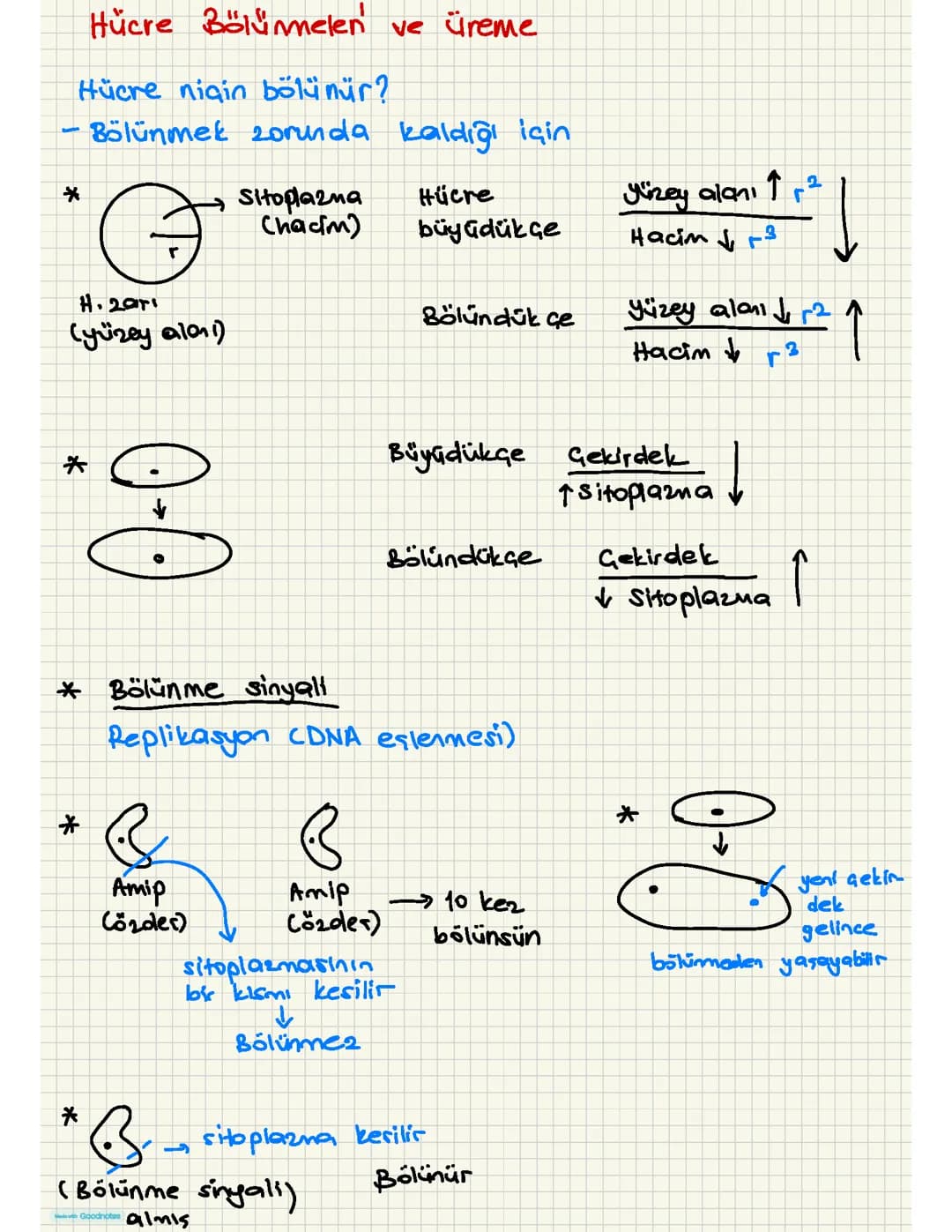Hücre Bölünmesi Nedir? 10. Sınıf İçin Kolay Anlatım