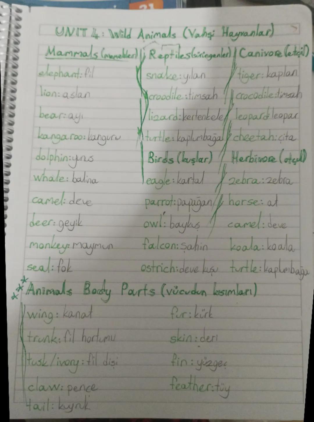 UNIT 14: Wild Animals (Vahşi Hayvanlar)

Mammals (memebler) ) Reptiles Giringenled / Canivore (etçil)

elephant: fil snake:ylan tiger: kapla