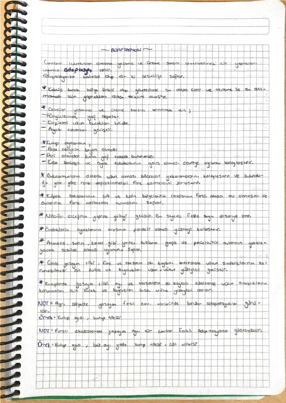 ADAPTASYON

Conklaren txeresmiklar Orsama yasana ve Drenne Santini aratrobilinmek için yaptıkları
Luna adaptasy
Adioptadyon lon
kalitsal Olu