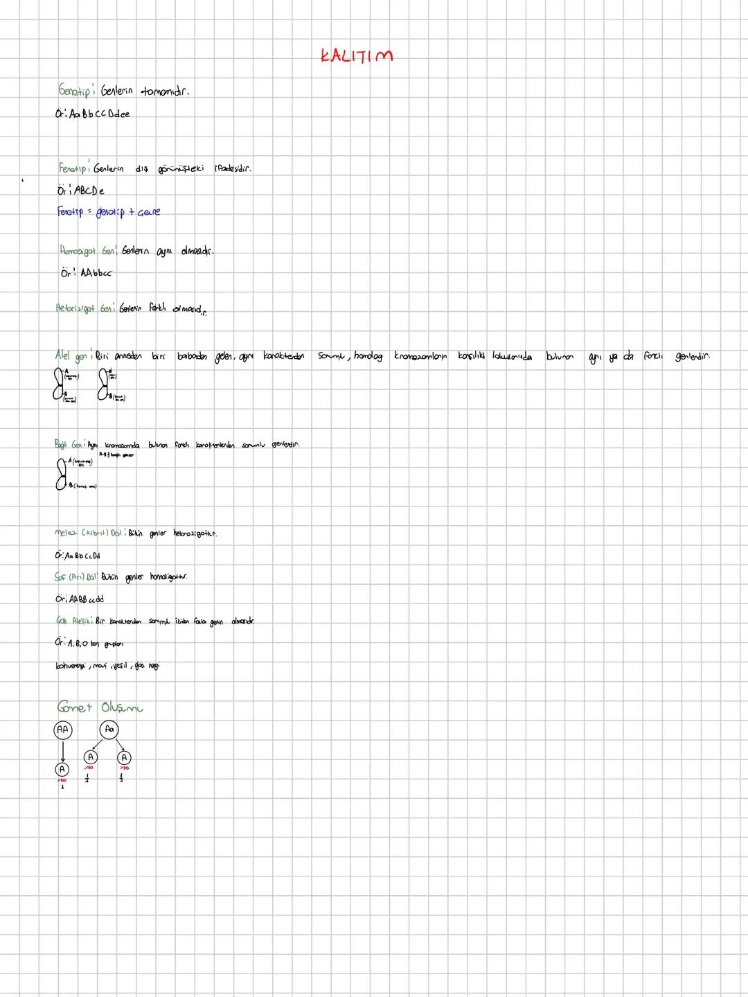 Genetipi Genlerin tomanıdır.
Or AaBb Cc Ddee
KALITIM
Feratipi Genlerin
Ori ABCDe
dis görünüşteki ifadesidir.
Feretrp genotip + Gere
Homopigo