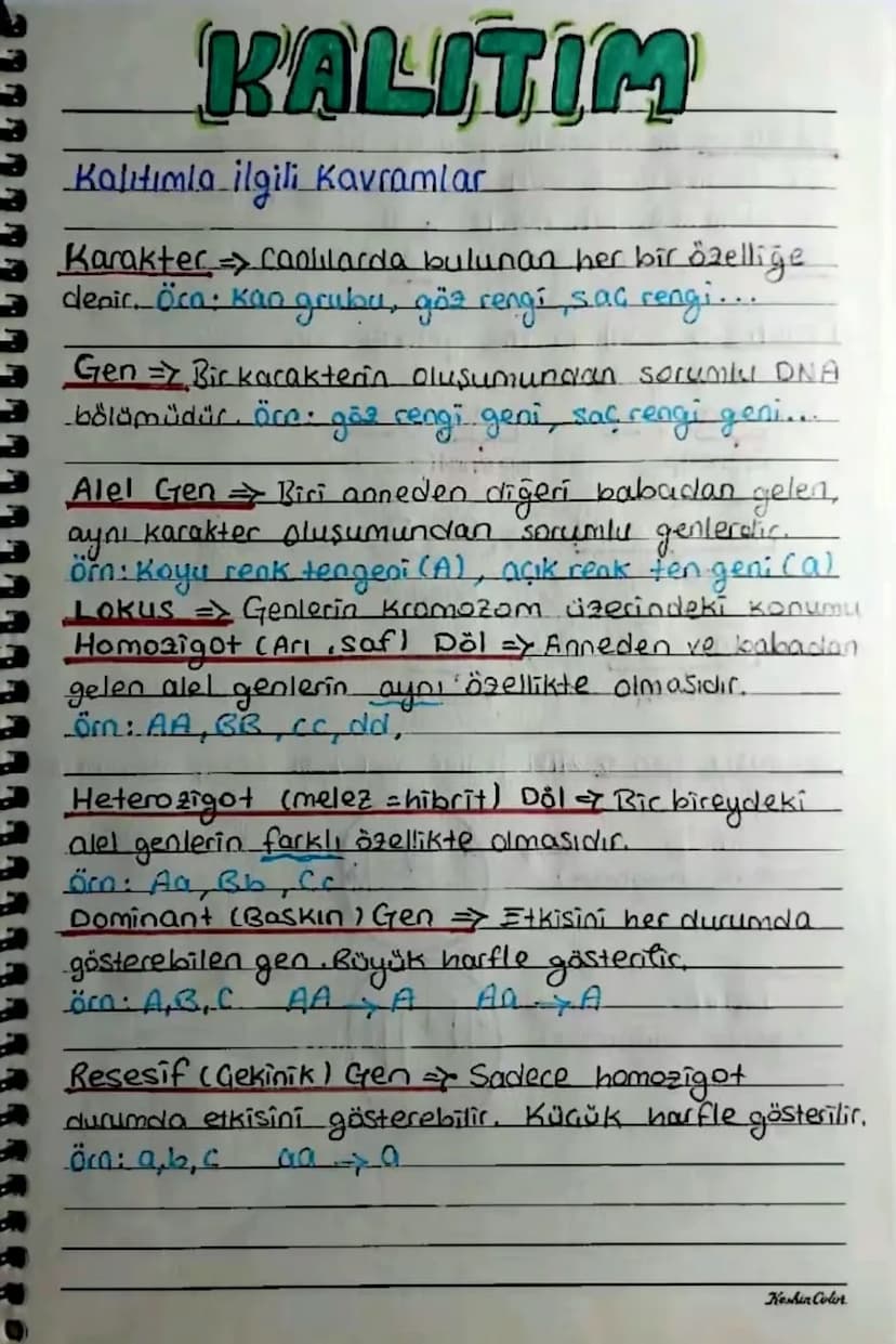 KALITIM
Kalıtımla ilgili Kavramlar
Karakter Canlılarda bulunan her bir özellige
denir. Öca: kao grubu, göz rengi, saç rengi....
Gen => Bir k