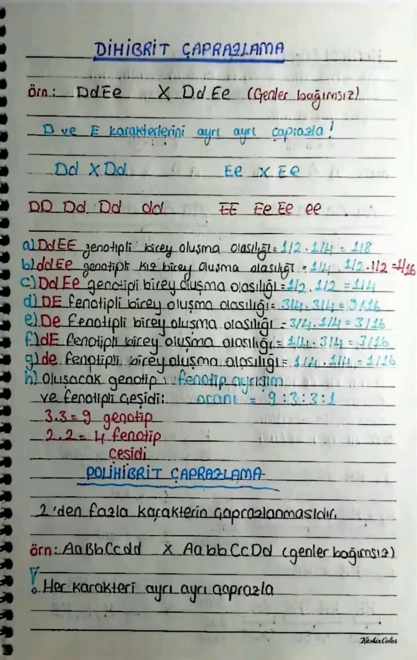 KALITIM
Kalıtımla ilgili Kavramlar
Karakter Canlılarda bulunan her bir özellige
denir. Öca: kao grubu, göz rengi, saç rengi....
Gen => Bir k