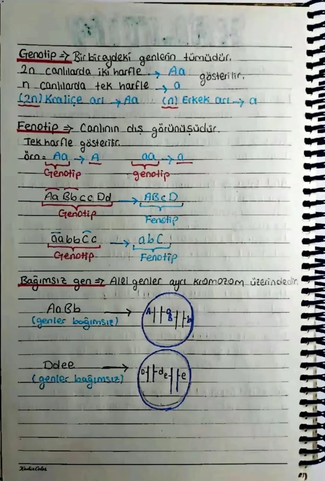 KALITIM
Kalıtımla ilgili Kavramlar
Karakter Canlılarda bulunan her bir özellige
denir. Öca: kao grubu, göz rengi, saç rengi....
Gen => Bir k